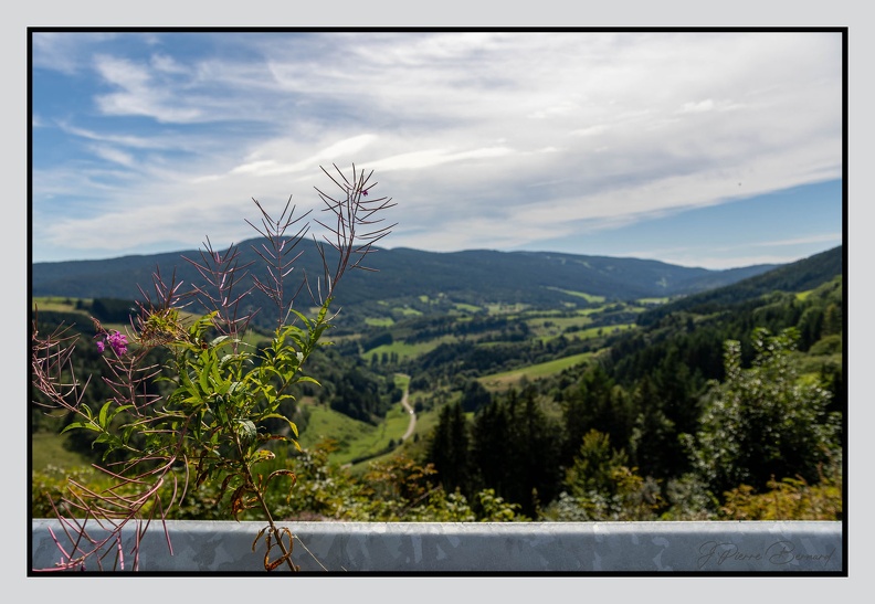 Alsace_24-09-07_0030.jpg