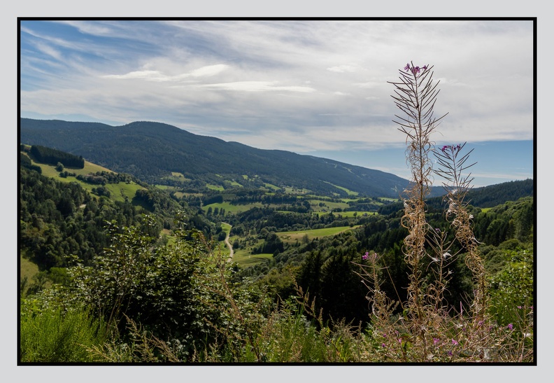 Alsace_24-09-07_0034.jpg