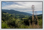Alsace 24-09-07 0034 (1294 visites) Alsace 24-09-07 0034
