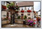 Alsace 24-09-08 0056 (1261 visites) Alsace 24-09-08 0056