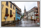 Alsace 24-09-08 0068 (1205 visites) Alsace 24-09-08 0068