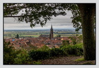 Alsace 24-09-08 0096 (1031 visites) Alsace 24-09-08 0096