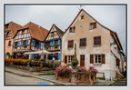 Alsace 24-09-08 0122 (853 visites) Alsace 24-09-08 0122