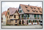 Alsace 24-09-08 0123 (857 visites) Alsace 24-09-08 0123