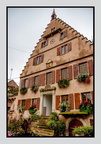 Alsace 24-09-08 0127 (873 visites) Alsace 24-09-08 0127