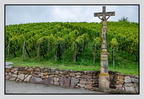 Alsace 24-09-08 0153 (830 visites) Alsace 24-09-08 0153