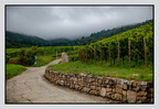 Alsace 24-09-08 0155 (801 visites) Alsace 24-09-08 0155
