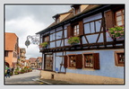 Alsace 24-09-08 0177 (805 visites) Alsace 24-09-08 0177