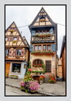 Alsace 24-09-08 0179 (813 visites) Alsace 24-09-08 0179