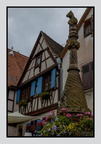 Alsace 24-09-08 0185 (775 visites) Alsace 24-09-08 0185