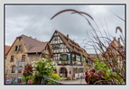 Alsace 24-09-08 0187 (806 visites) Alsace 24-09-08 0187