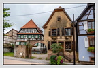 Alsace 24-09-08 0198 (797 visites) Alsace 24-09-08 0198