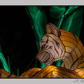 illuminationjardinPlante 23-12-21 3360