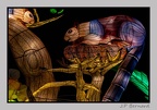 illuminationjardinPlante 23-12-21 3365