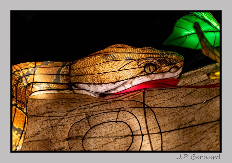 illuminationjardinPlante_23-12-21_3367.jpg