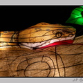 illuminationjardinPlante 23-12-21 3367
