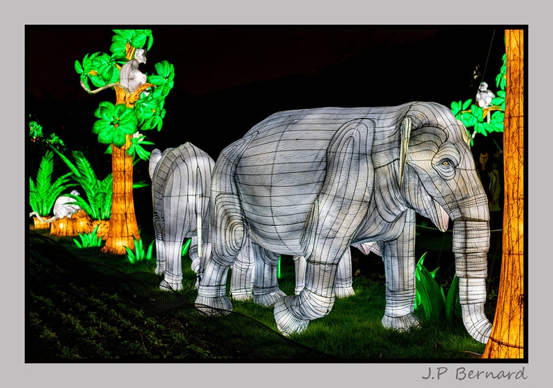 illuminationjardinPlante_23-12-21_3372.jpg