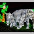 illuminationjardinPlante 23-12-21 3372