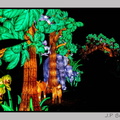 illuminationjardinPlante 23-12-21 3375
