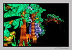 illuminationjardinPlante 23-12-21 3375