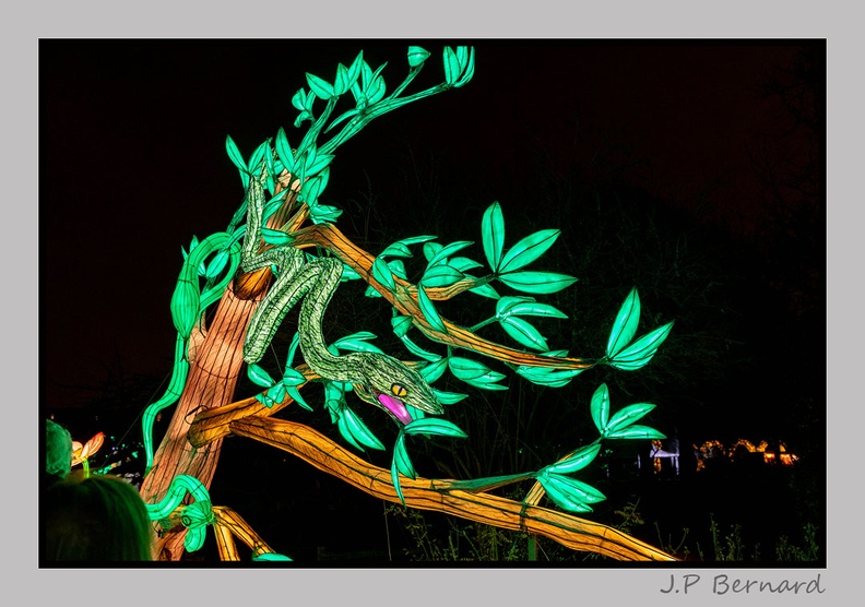 illuminationjardinPlante_23-12-21_3380.jpg