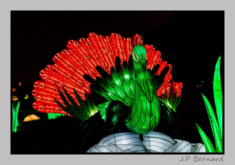 illuminationjardinPlante_23-12-21_3395.jpg