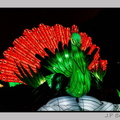 illuminationjardinPlante 23-12-21 3395