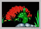illuminationjardinPlante 23-12-21 3395