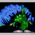 illuminationjardinPlante 23-12-21 3400