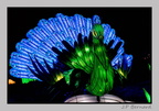 illuminationjardinPlante 23-12-21 3400