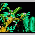 illuminationjardinPlante 23-12-21 3405