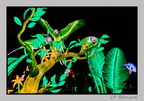 illuminationjardinPlante 23-12-21 3405