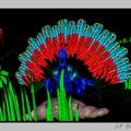illuminationjardinPlante 23-12-21 3415