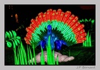 illuminationjardinPlante 23-12-21 3421