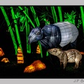 illuminationjardinPlante 23-12-21 3433