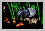 illuminationjardinPlante 23-12-21 3433