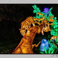 illuminationjardinPlante 23-12-21 3437