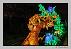 illuminationjardinPlante 23-12-21 3437