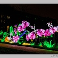 illuminationjardinPlante 23-12-21 3438