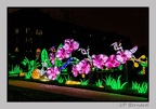 illuminationjardinPlante 23-12-21 3438