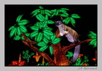illuminationjardinPlante 23-12-21 3463