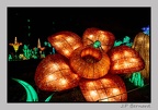 illuminationjardinPlante 23-12-21 3465