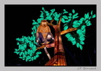 illuminationjardinPlante 23-12-21 3483