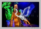 illuminationjardinPlante 23-12-21 3491