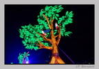illuminationjardinPlante 23-12-21 3498