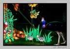 illuminationjardinPlante 23-12-21 3505