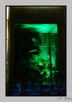 illuminationjardinPlante 23-12-21 3521