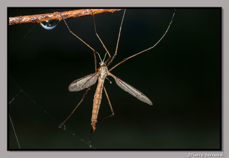 EA1E0594.jpg