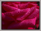 IMGP0336