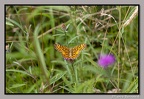  A1E9339